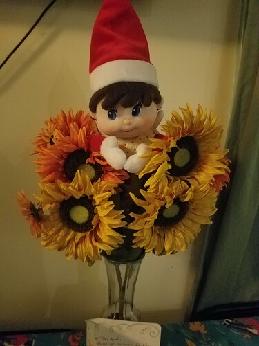 20181206_063536