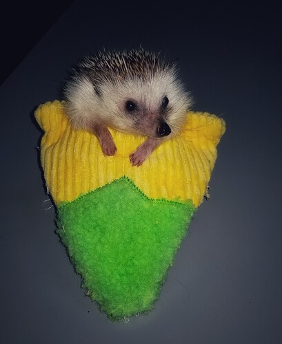 20181127_165009-01-01