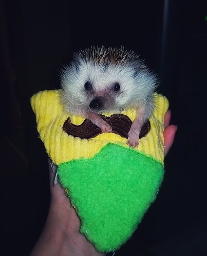 20181127_164813-01-01-01