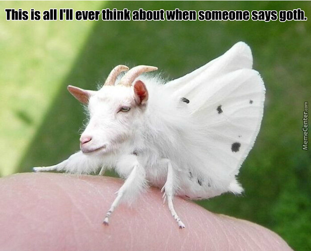 goat-moth-goth_o_4039903
