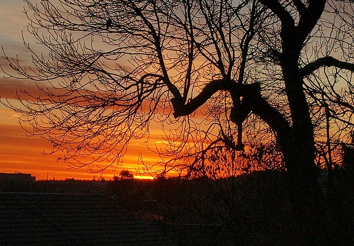 IMG_20201230_082005_NR_copy_1777x1238