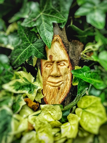 IMG_20210611_142513-01