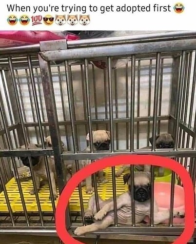 Screenshot_20211026-082625_Instagram