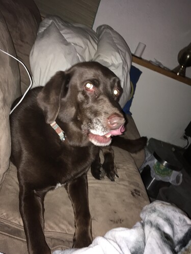 5BC464E3-0AE8-4531-89FC-854FAEFF1443