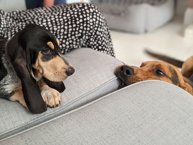 00100lrPORTRAIT_00100_BURST20200626194257230_COVER