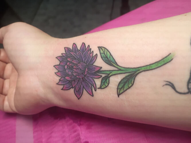 IMG_20260212_160544271