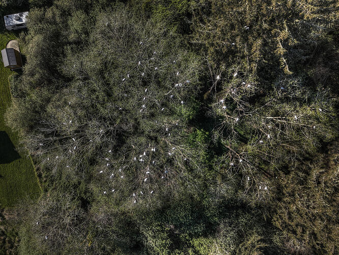 DJI_20260413174115_0525_DAnd6more_Enhancer