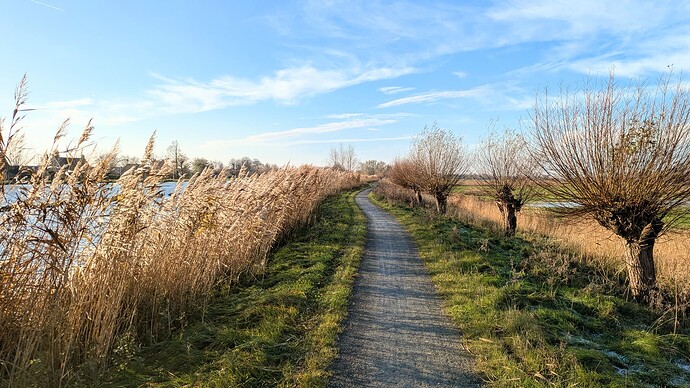 PXL_20241130_102509887 (1)