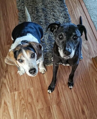 Screenshot_20251105-203103_Instagram