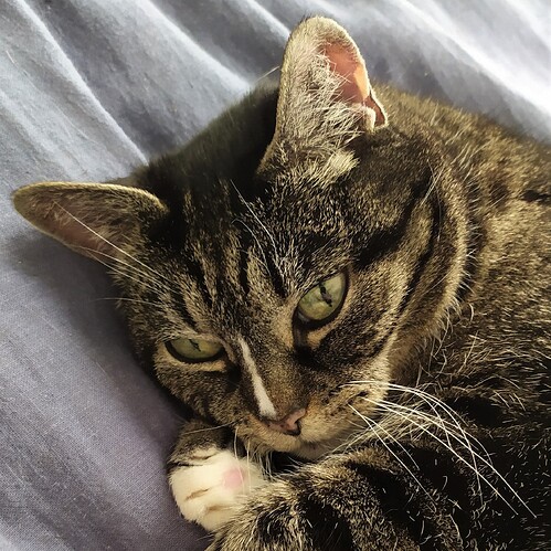 184155008_3948582768524813_7382819222912061632_n