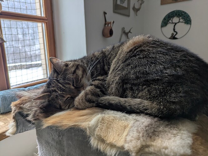 PXL_20260112_135343667