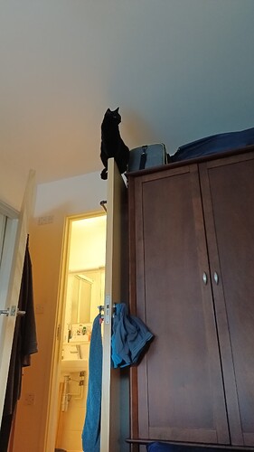 IMG_20250319_081224_487