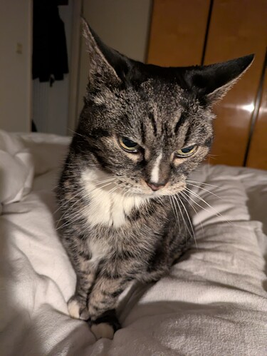 PXL_20250309_212332742