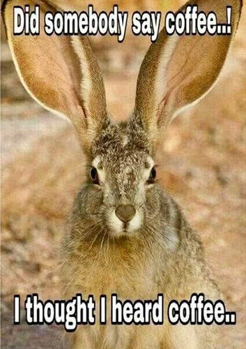 Screenshot_20251005-073157