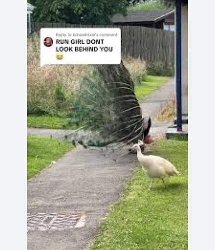 Screenshot_20251106-121815