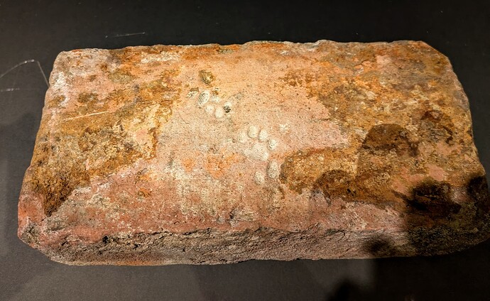 PXL_20250314_131025507