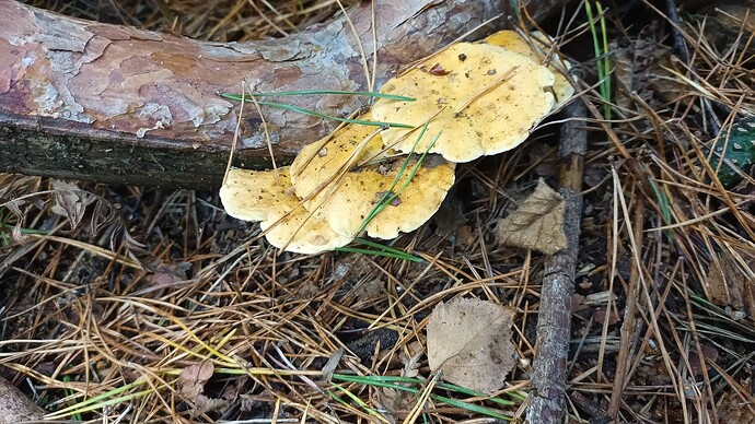 IMG_20250924_125436_987