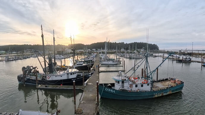 VID_20260226_164815_00_004_038_2026-02-28_03-20-35_screenshot