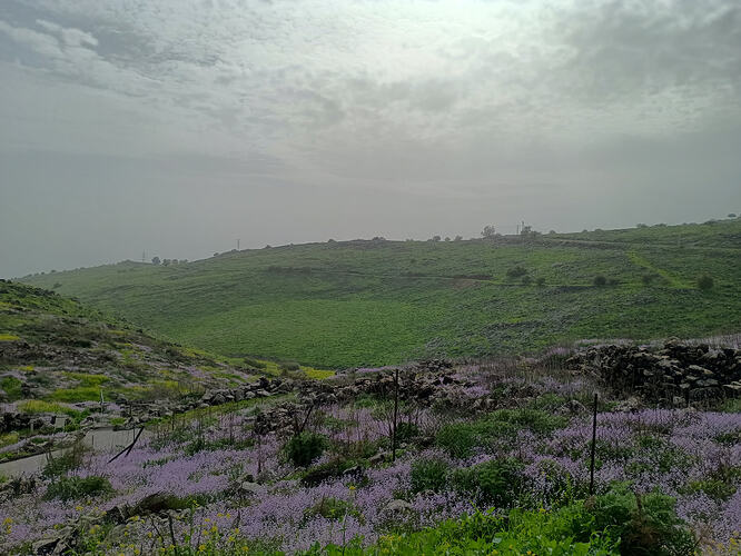 IMG_20260208_140409263_HDR