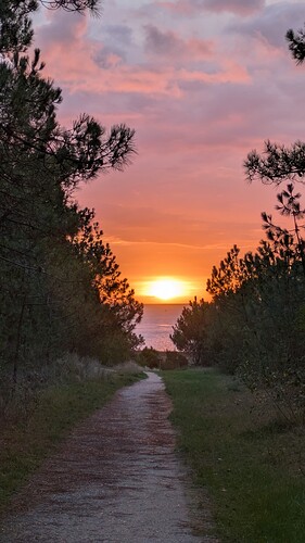 PXL_20250917_052228266~2