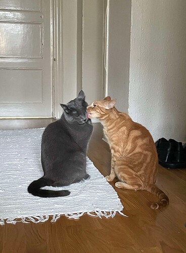 received_1167287848461666