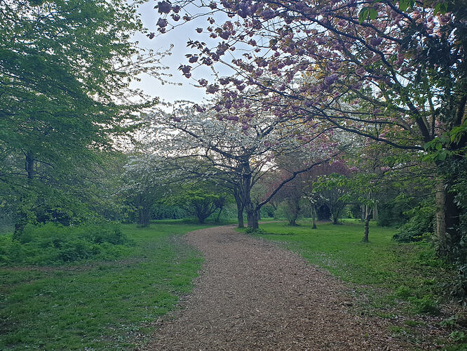 20260420_195724