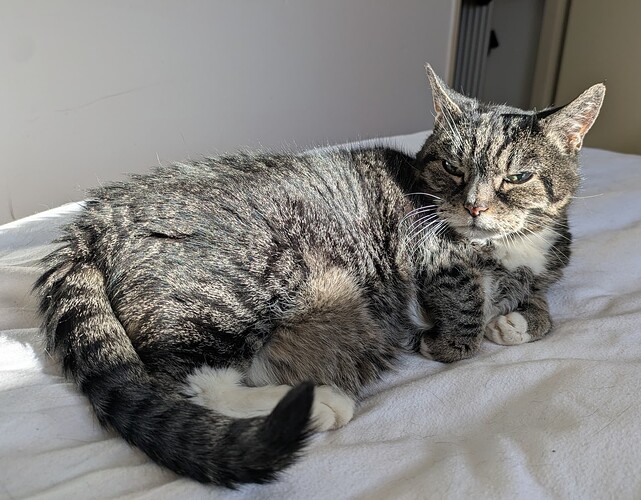 PXL_20250318_151110654