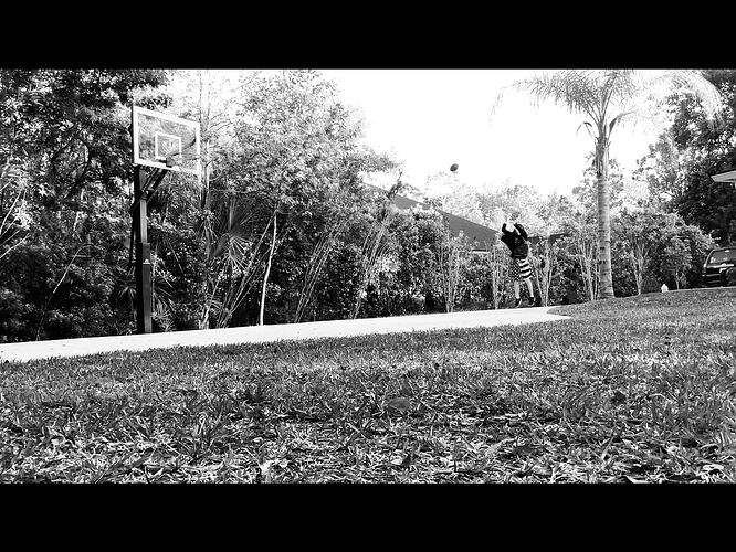 IMG_0602