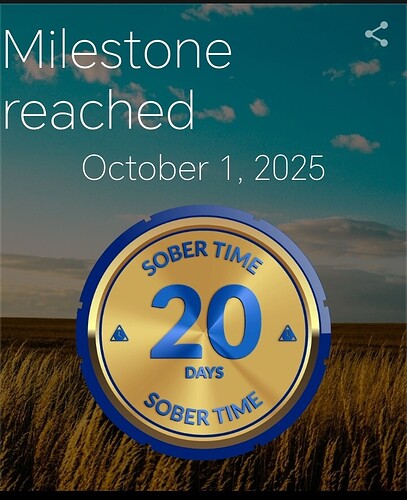 Screenshot_20251001_010540_com_sociosoft_sobertime_MainActivity