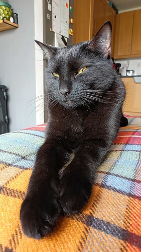 IMG_20250310_095304_090~2