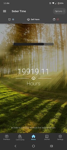 Screenshot_20251005-230654_Sober Time