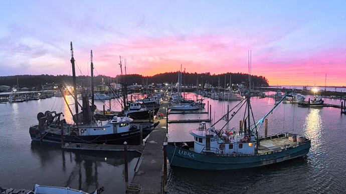 VID_20260226_164815_00_004_038_2026-02-28_03-23-59_screenshot