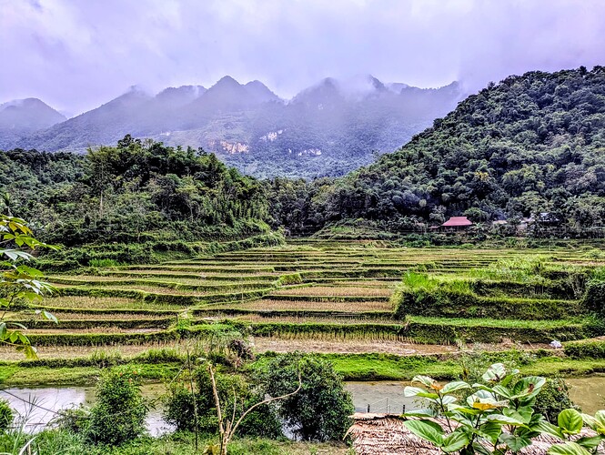 PXL_20251107_093637133~2