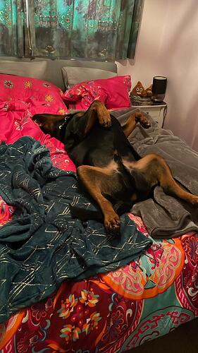 WhatsApp Image 2024-01-08 at 09.04.54_8a29dc76