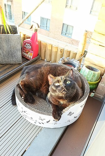 IMG_20250320_173635_607~2