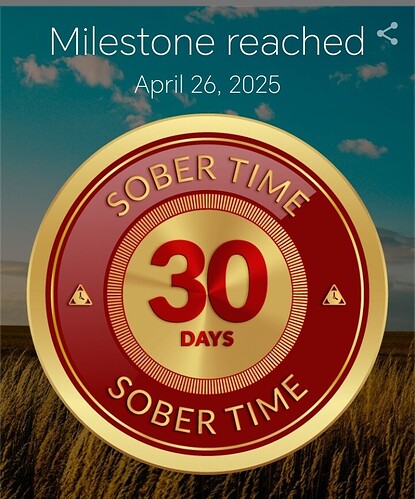 Screenshot_20250426_125934_com_sociosoft_sobertime_MainActivity