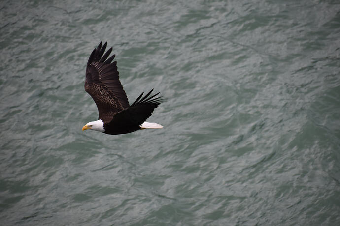 DSC_0179_Original