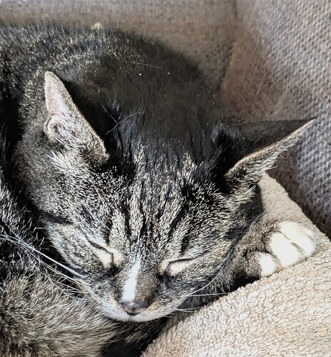 e4e592e2d1f8042609032e22fe728bca907813cb