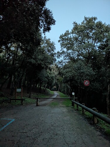 PXL_20251204_161605832