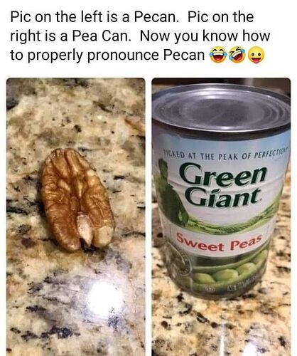 361914383_583819353955895_8767897546578666009_n