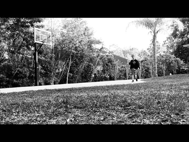 IMG_0603