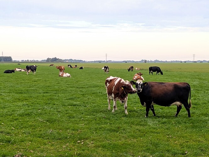 PXL_20250920_063122899