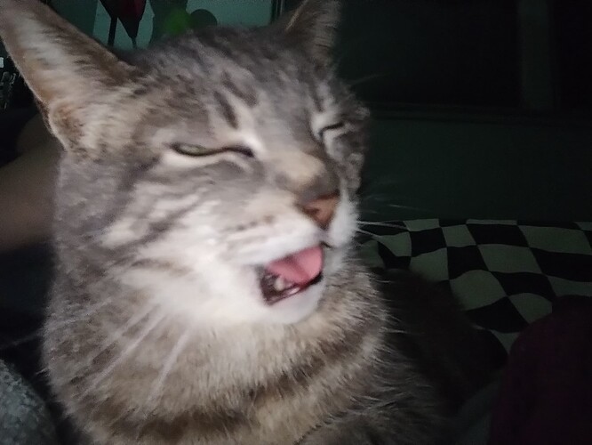 IMG_20250323_045728263