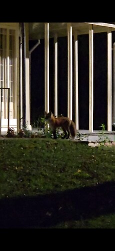 Screenshot_20251107_073342_Gallery