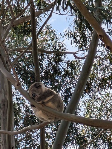 Threema_2025-01-25_12-14-29