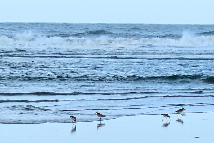 PXL_20250918_092744748~2