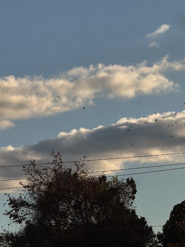 Facetune_10-11-2025-15-43-32