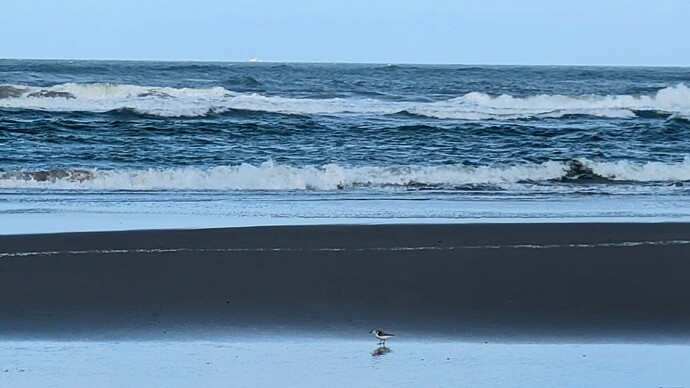 PXL_20250918_091621595~2