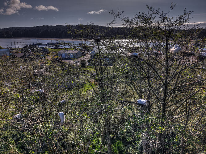 DJI_20260413173828_0475_D_76_D_77_D_78_D_79_D_80_D_81_D_Enhancer