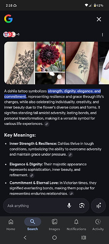 Screenshot_20260213-021837_Google